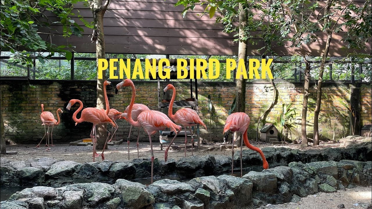 [Malaysia] Penang Bird Park